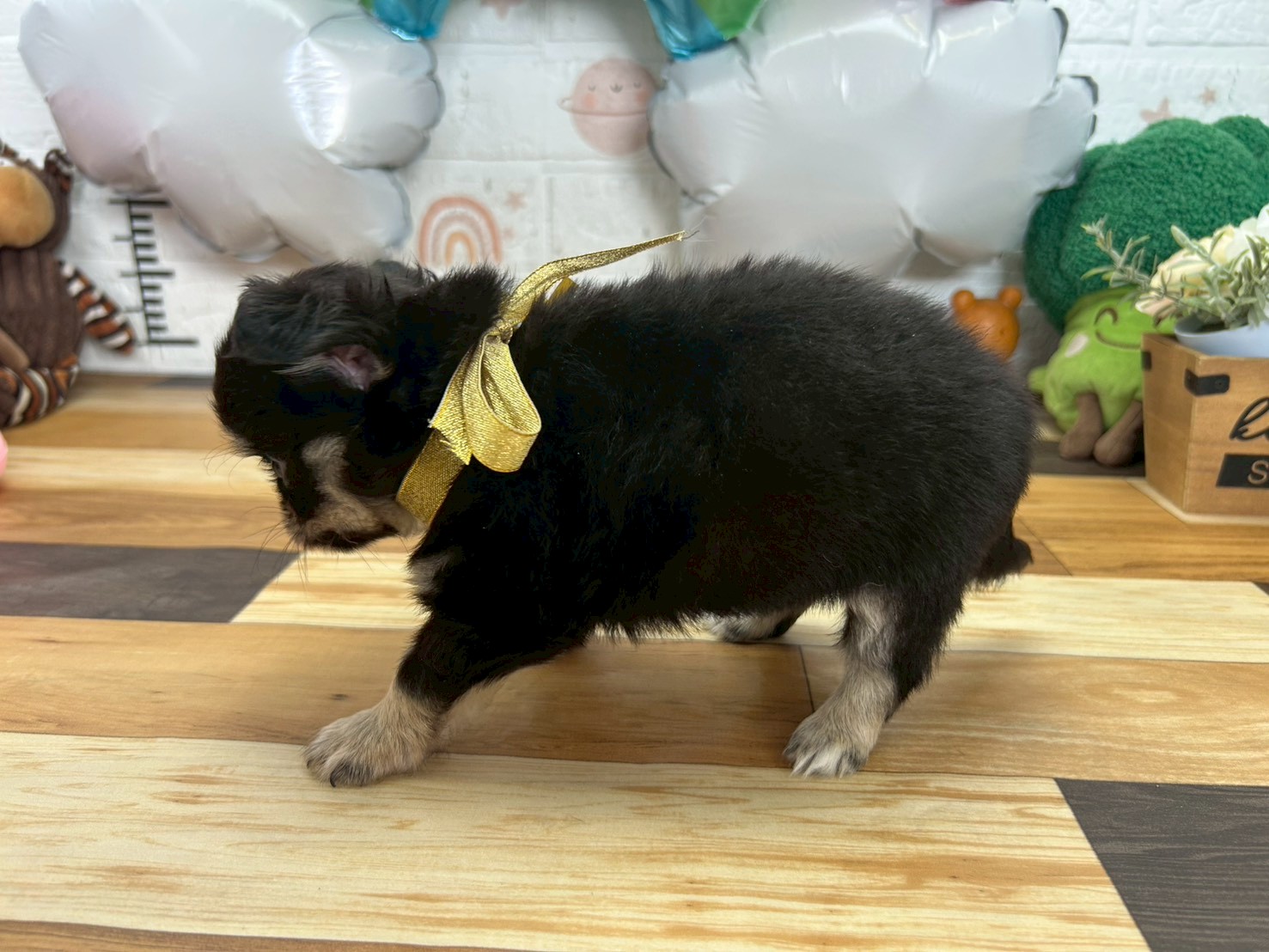 赤ちゃん写真3-2