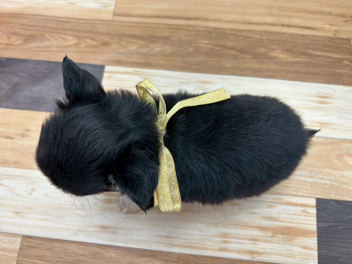 赤ちゃん写真3-3