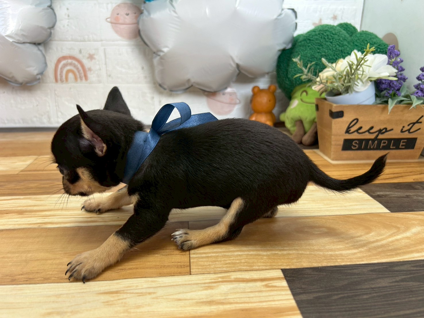 赤ちゃん写真3-2
