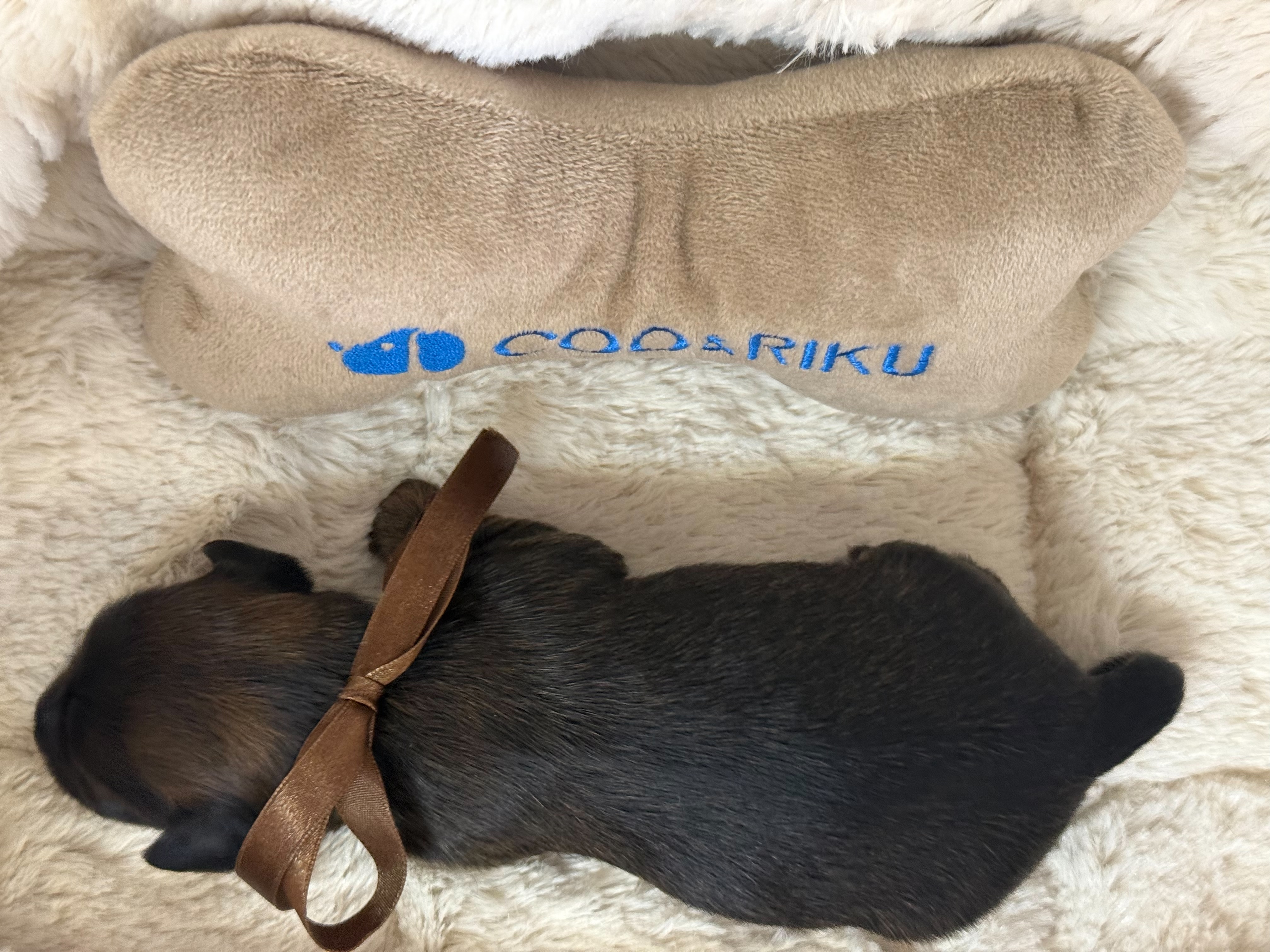 赤ちゃん写真1-3