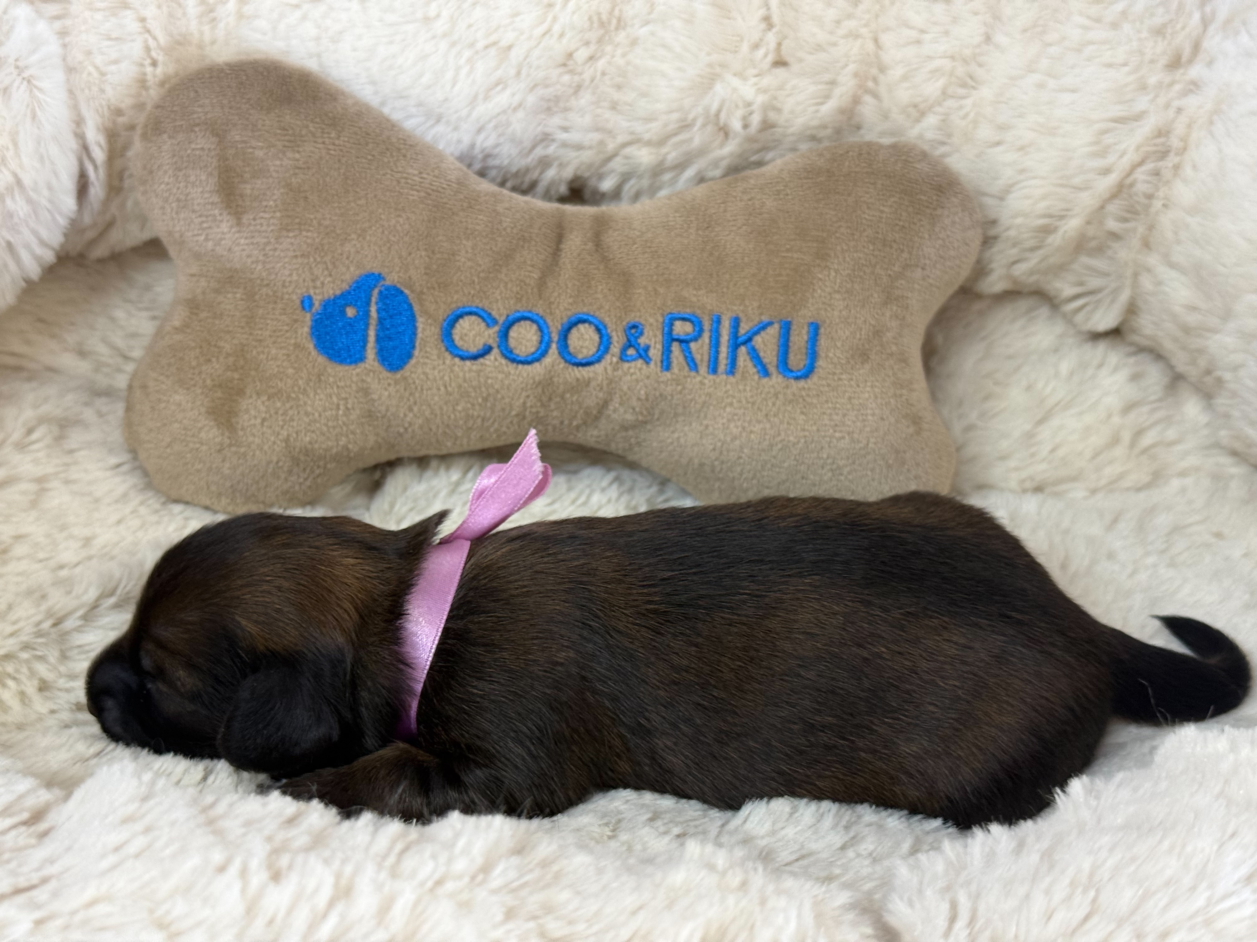 赤ちゃん写真1-2