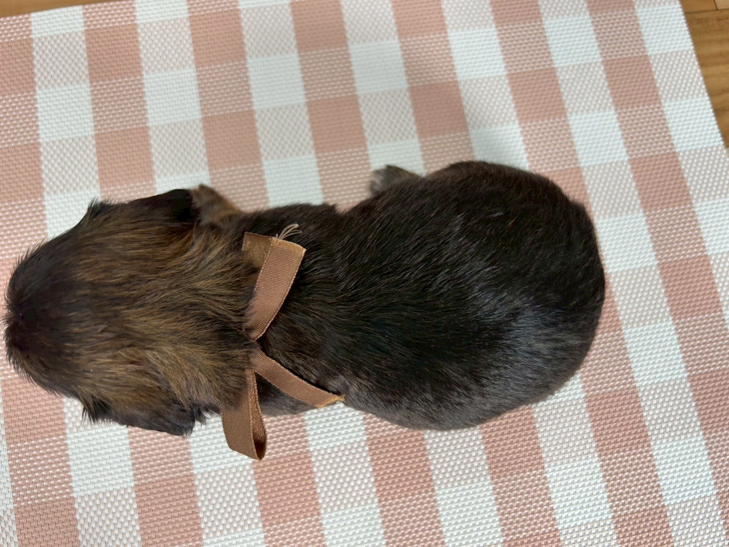 赤ちゃん写真2-3