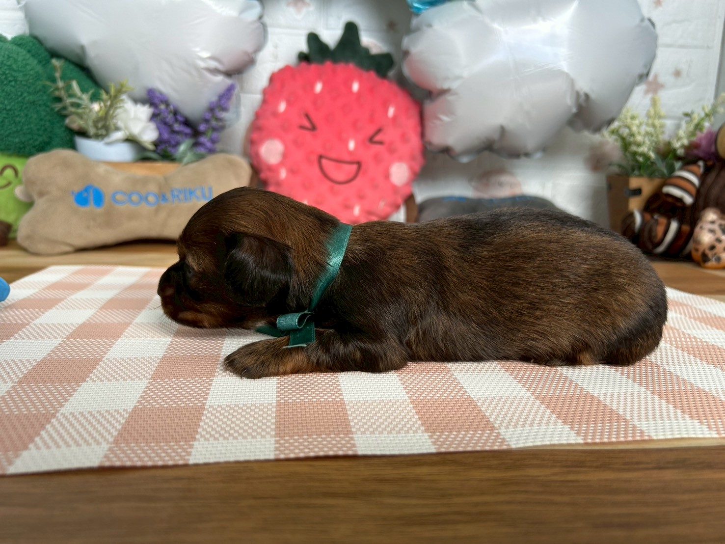 赤ちゃん写真2-2