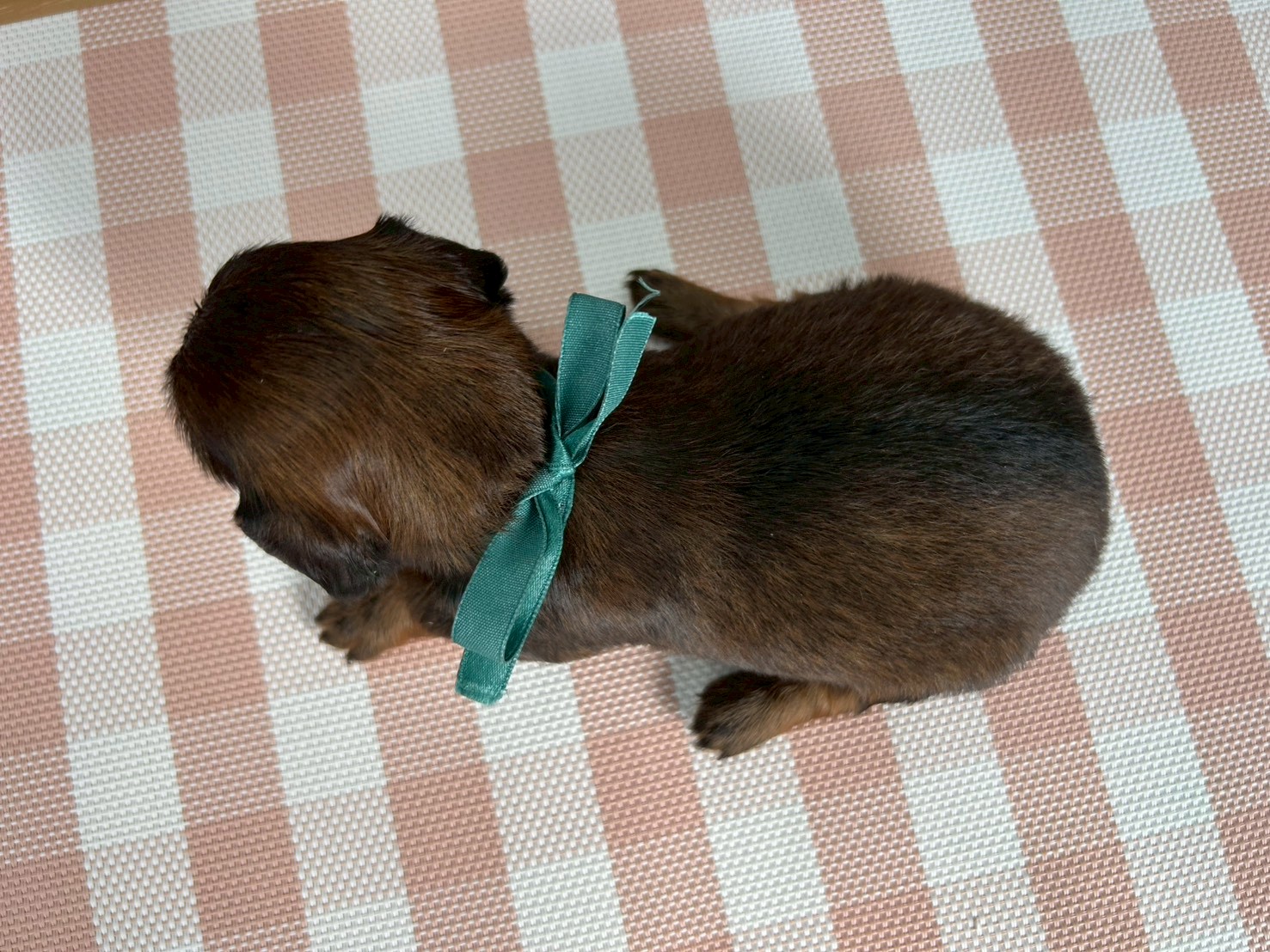 赤ちゃん写真2-3