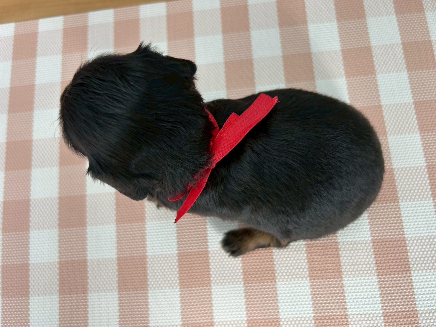 赤ちゃん写真2-3