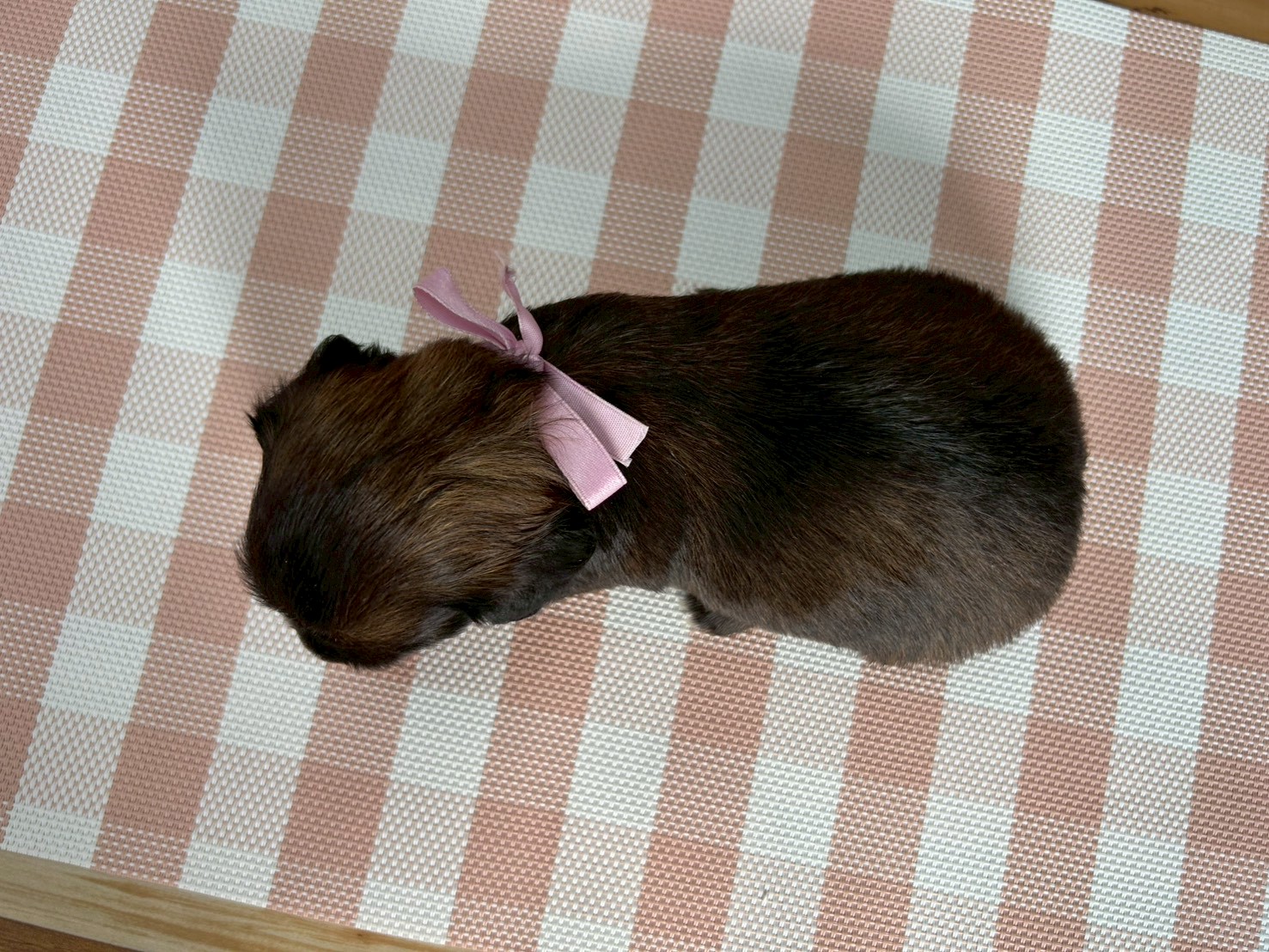 赤ちゃん写真2-3