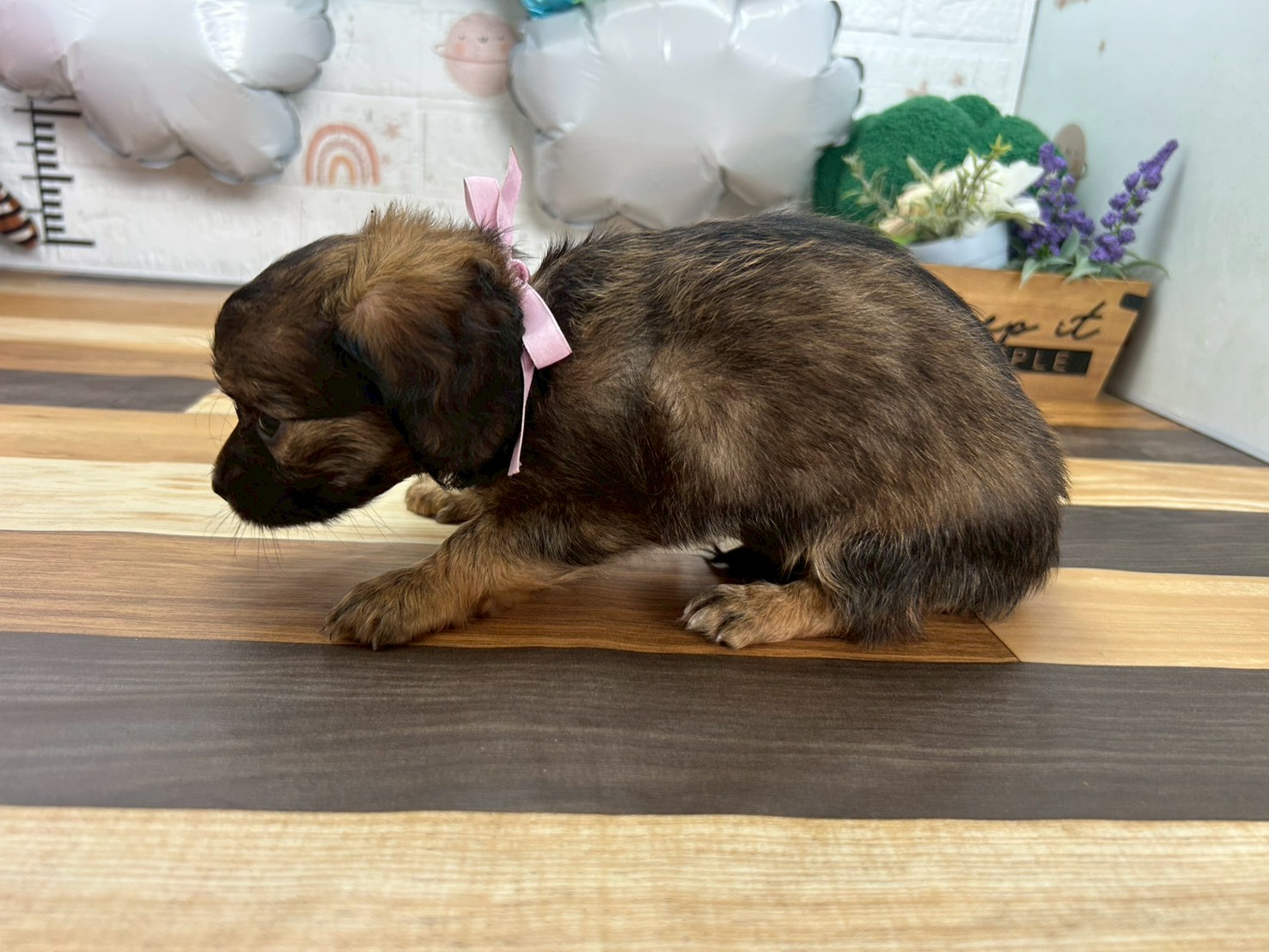 赤ちゃん写真3-2