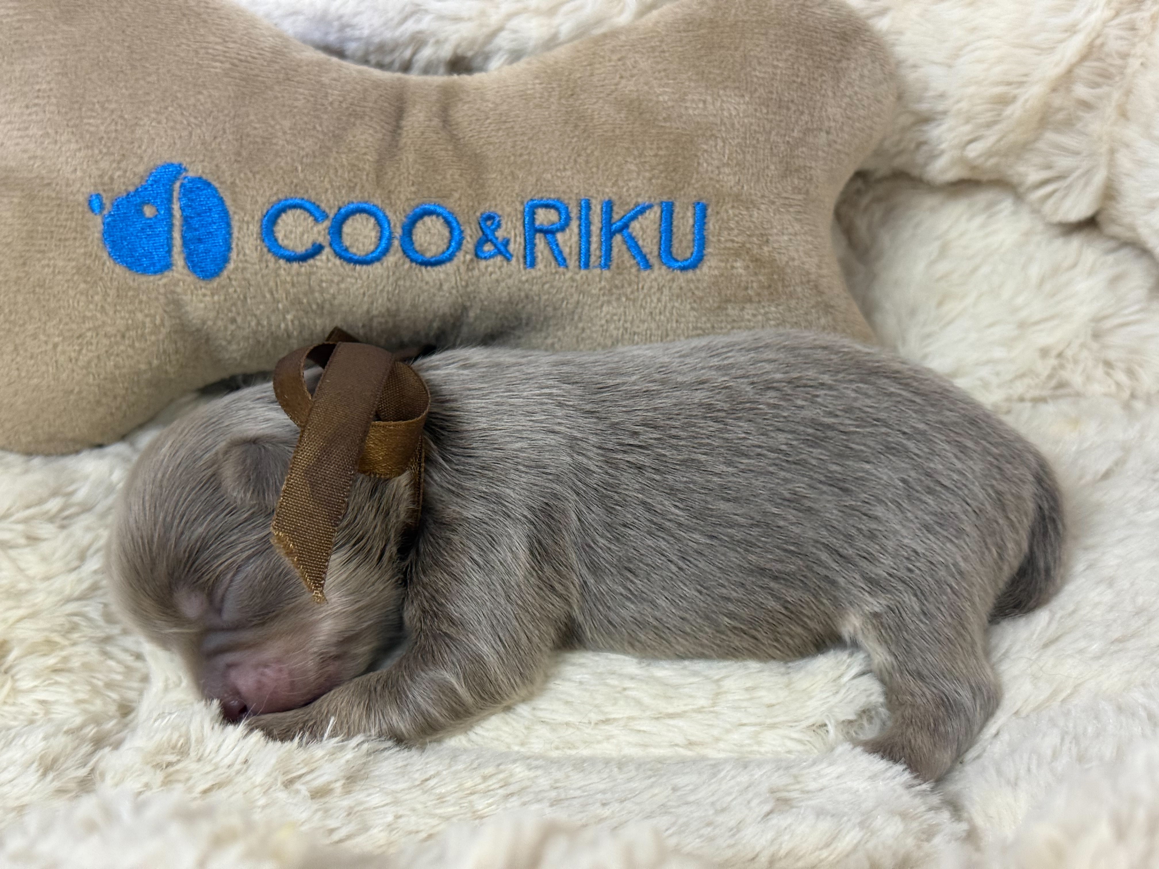 赤ちゃん写真1-2