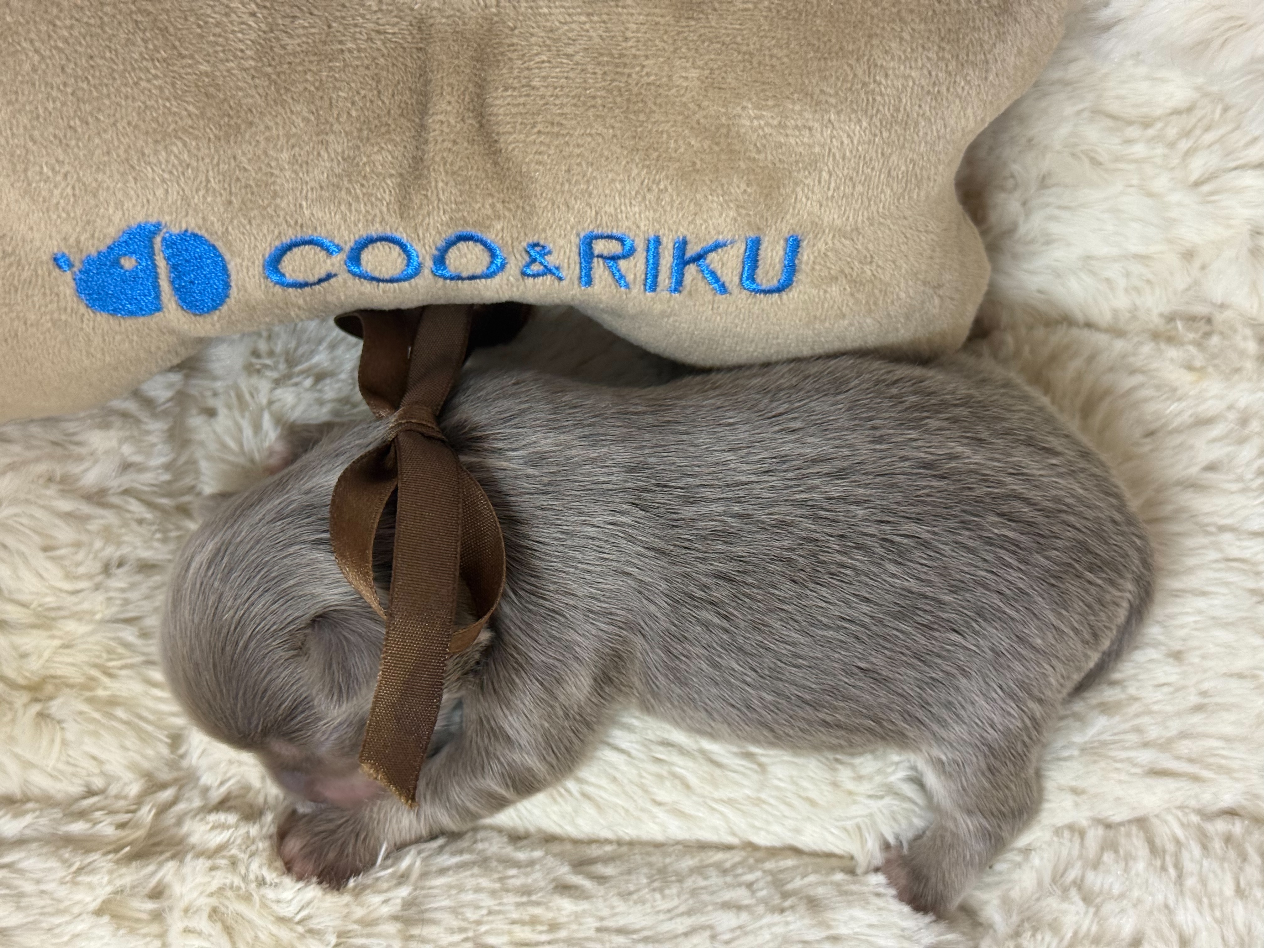 赤ちゃん写真1-3