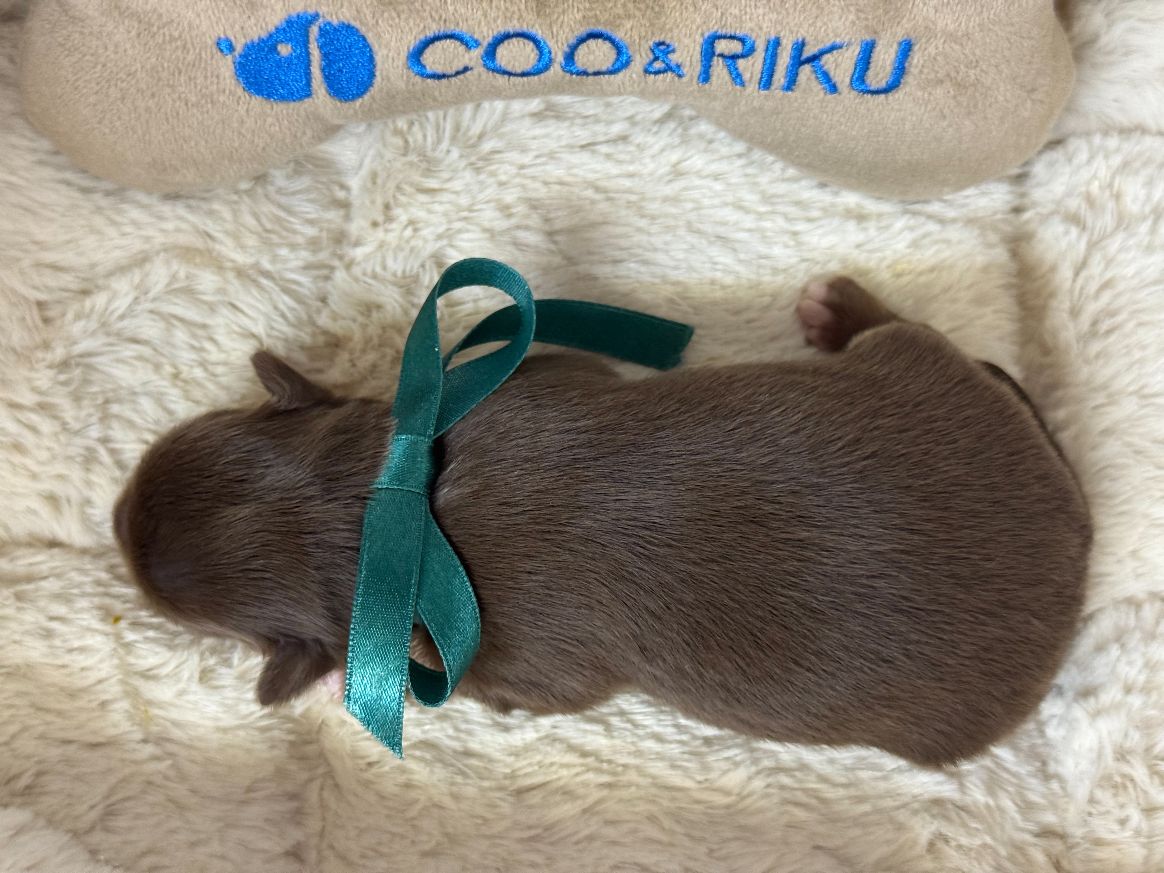 赤ちゃん写真1-3