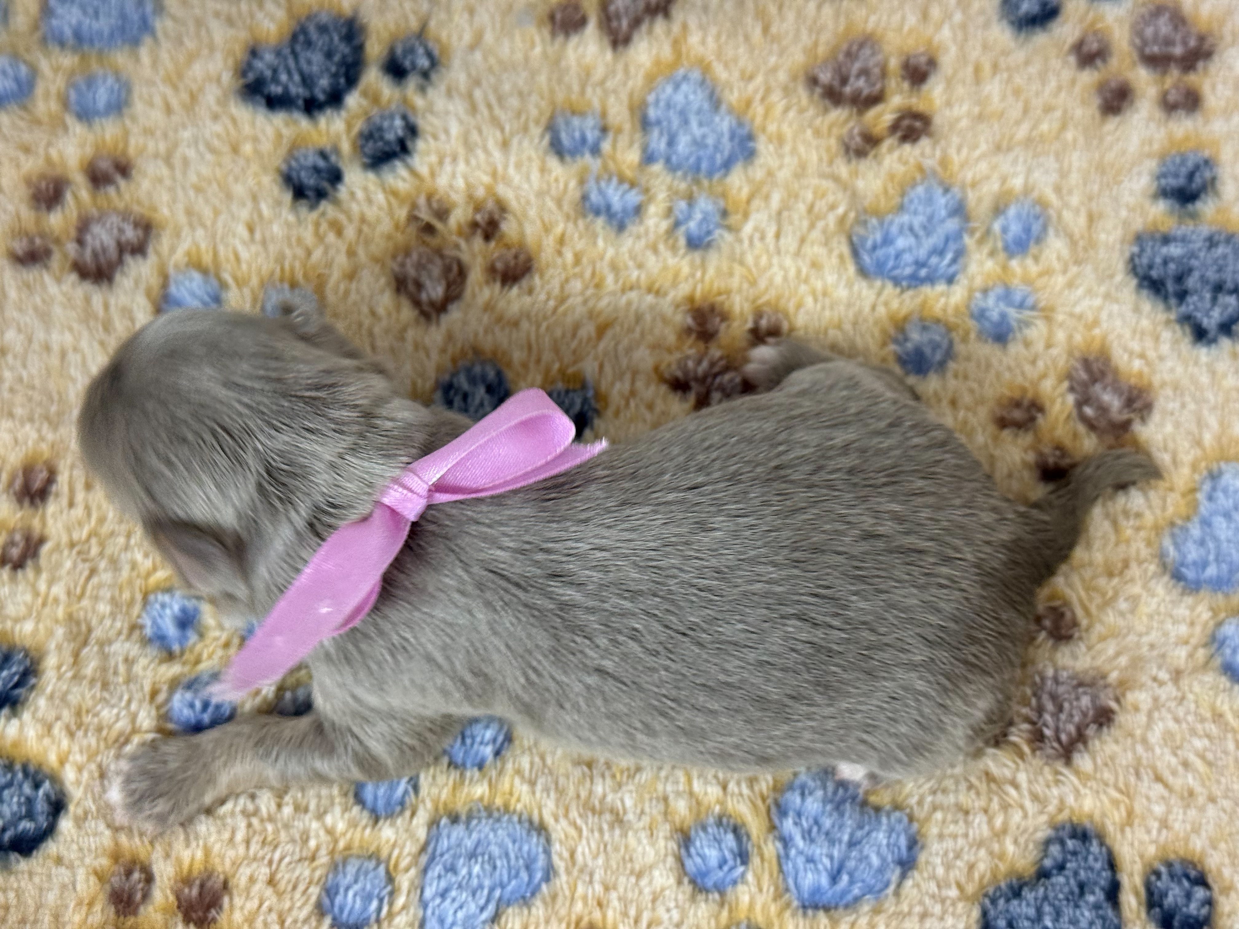 赤ちゃん写真1-3