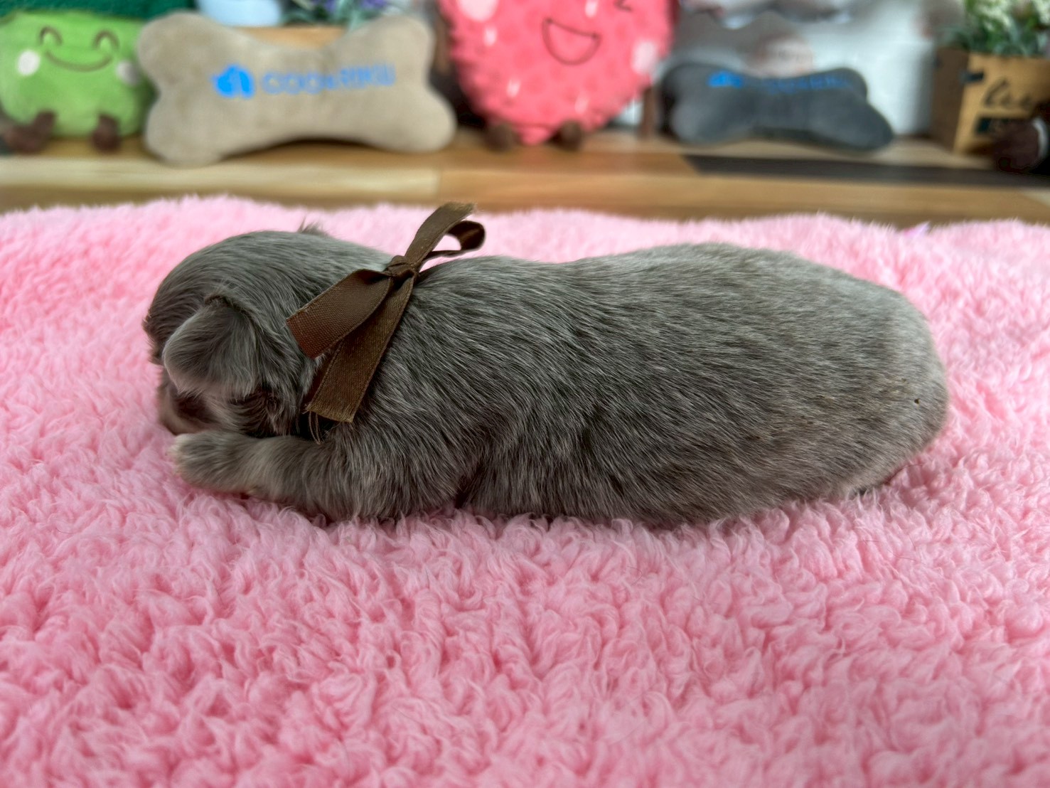 赤ちゃん写真2-2
