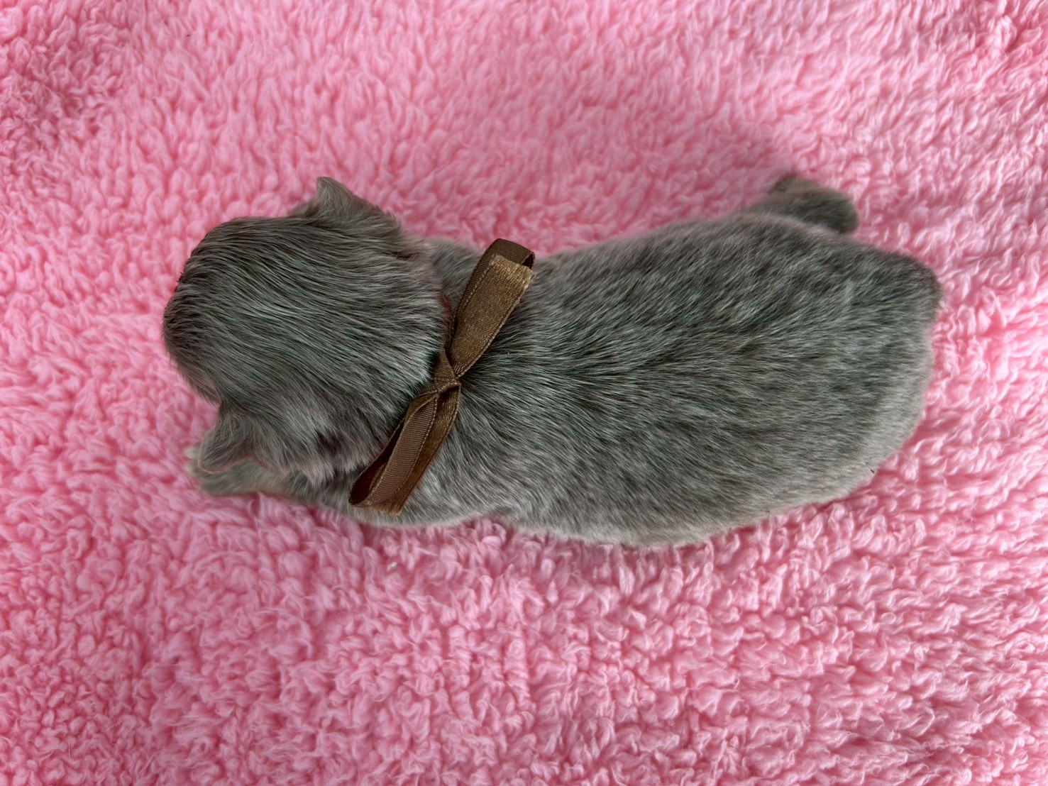 赤ちゃん写真2-3