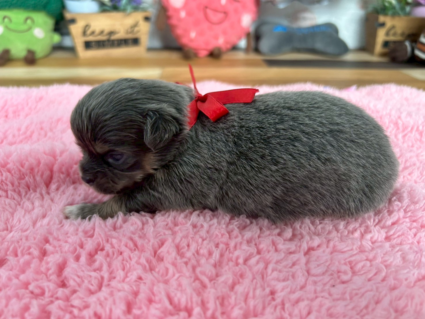 赤ちゃん写真2-2