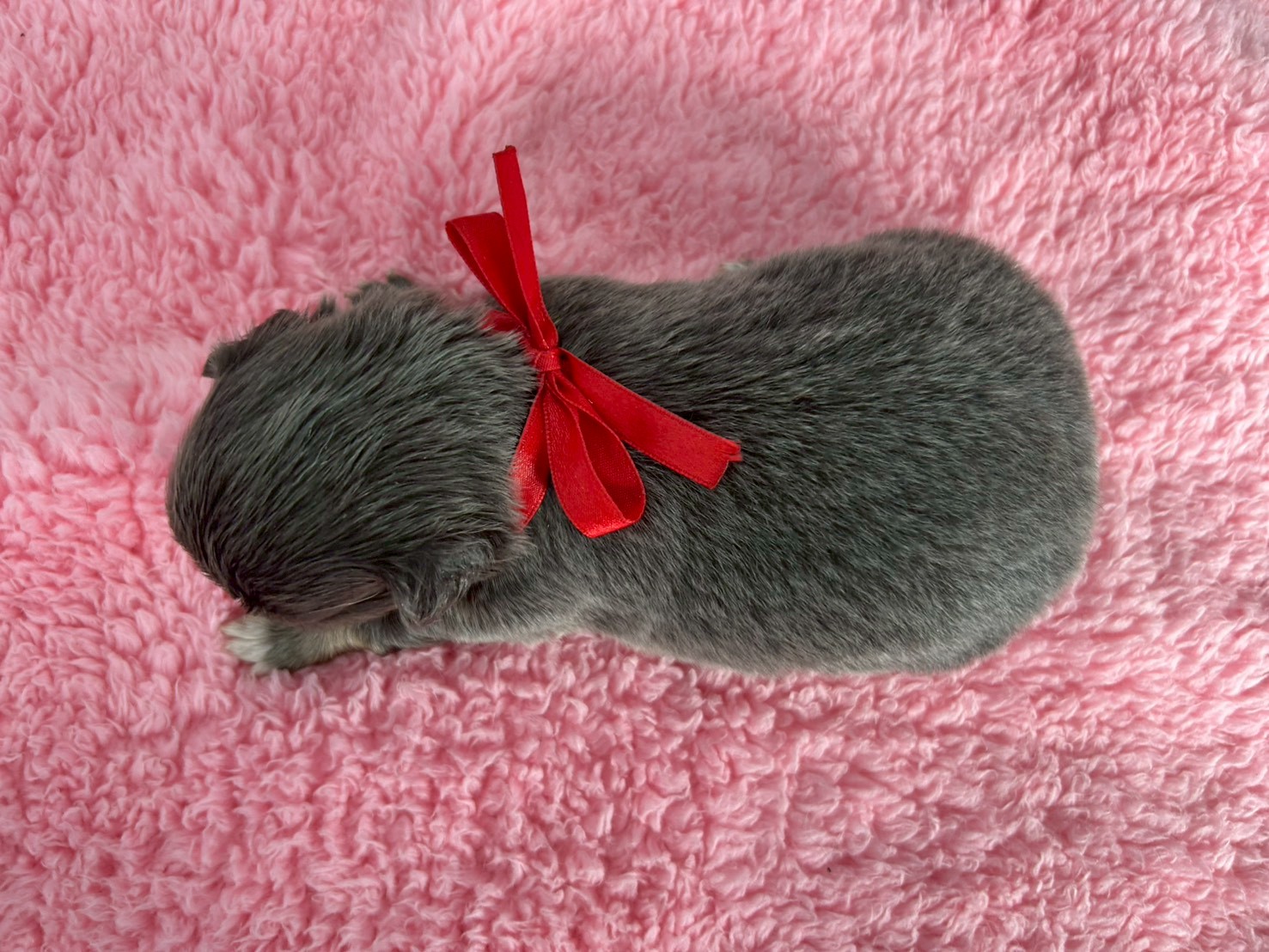 赤ちゃん写真2-3