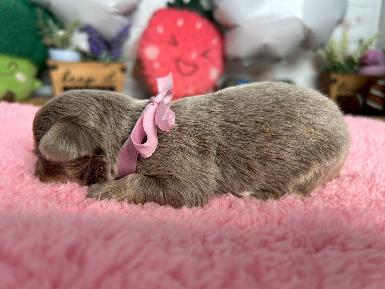 赤ちゃん写真2-2