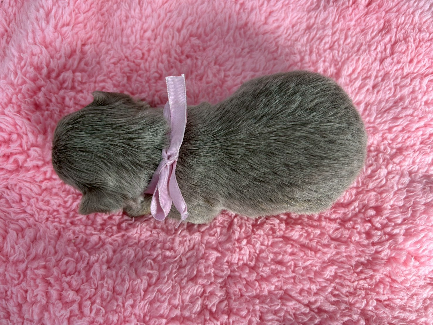 赤ちゃん写真2-3