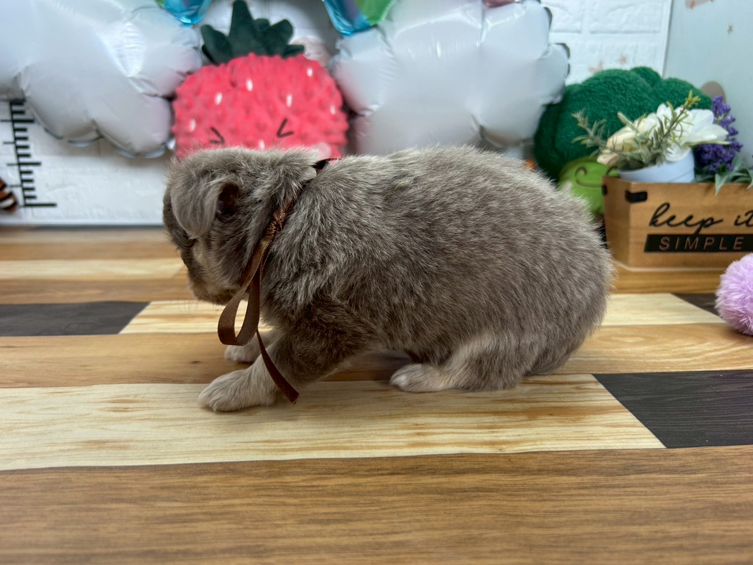 赤ちゃん写真3-2