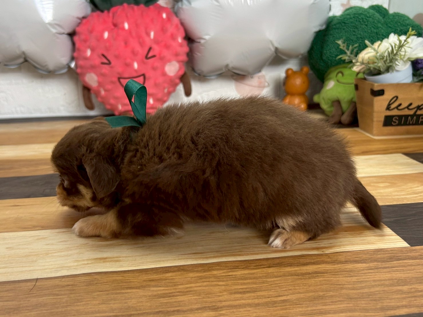 赤ちゃん写真3-2