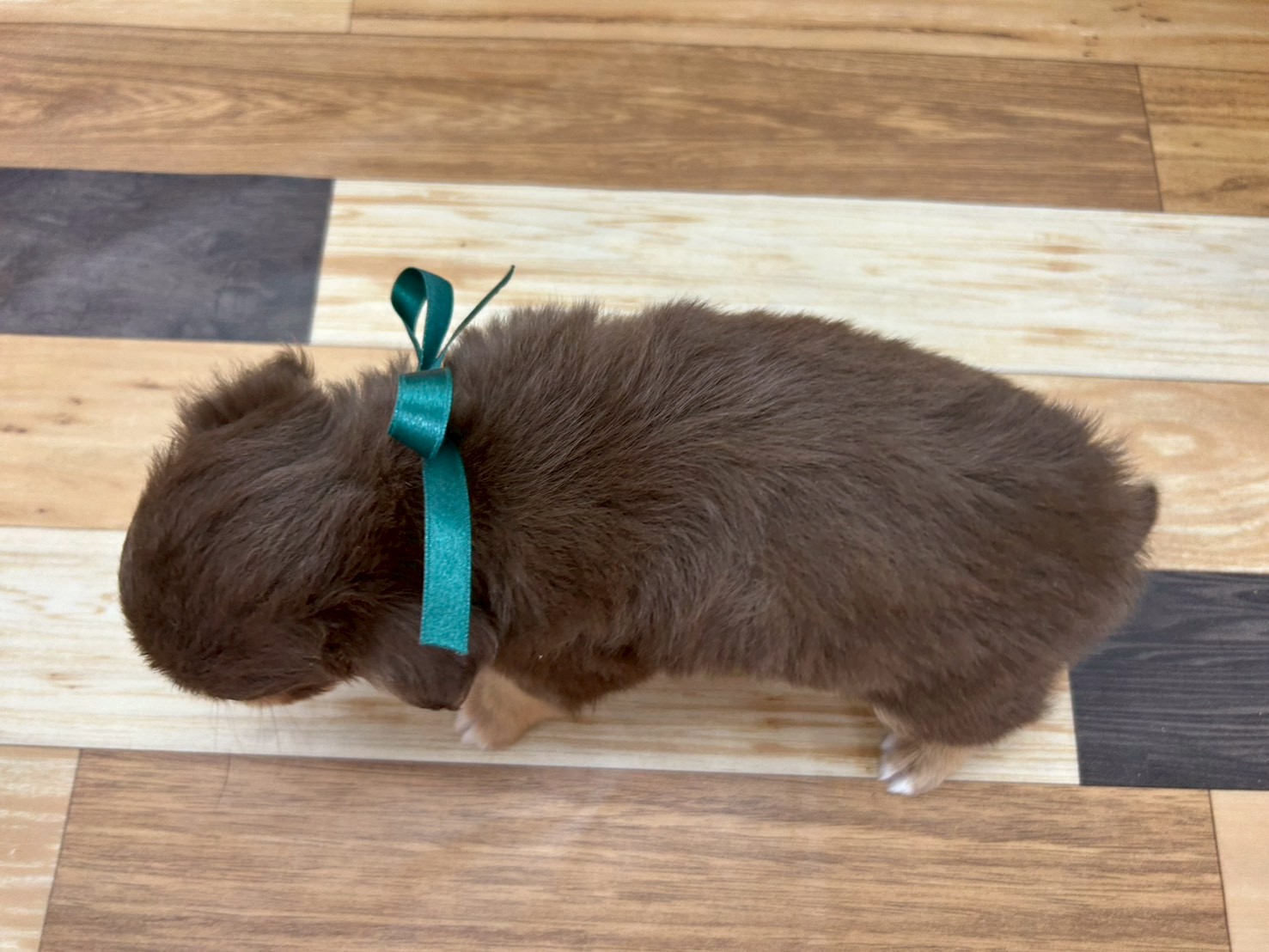 赤ちゃん写真3-3