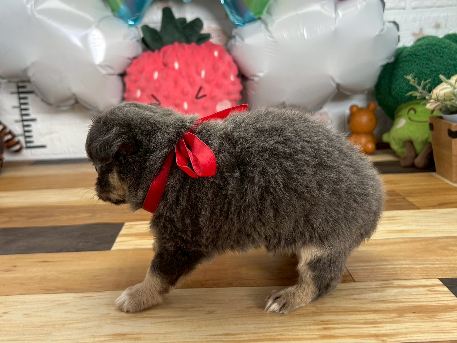 赤ちゃん写真3-2