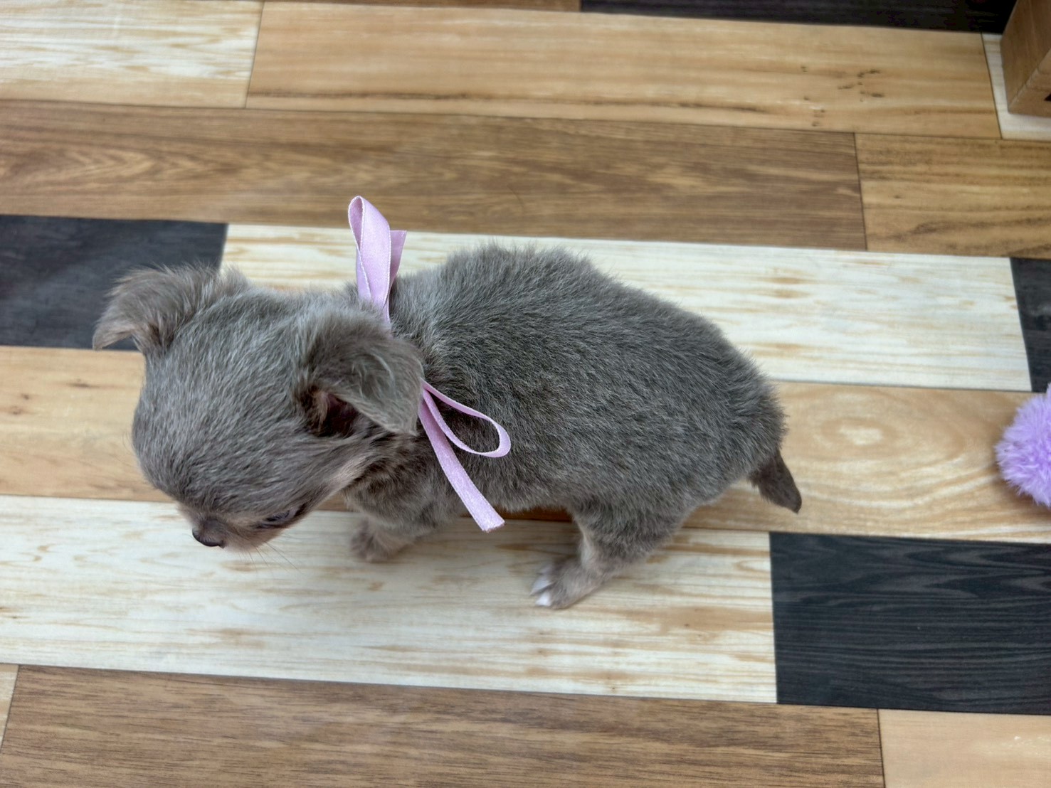 赤ちゃん写真3-3