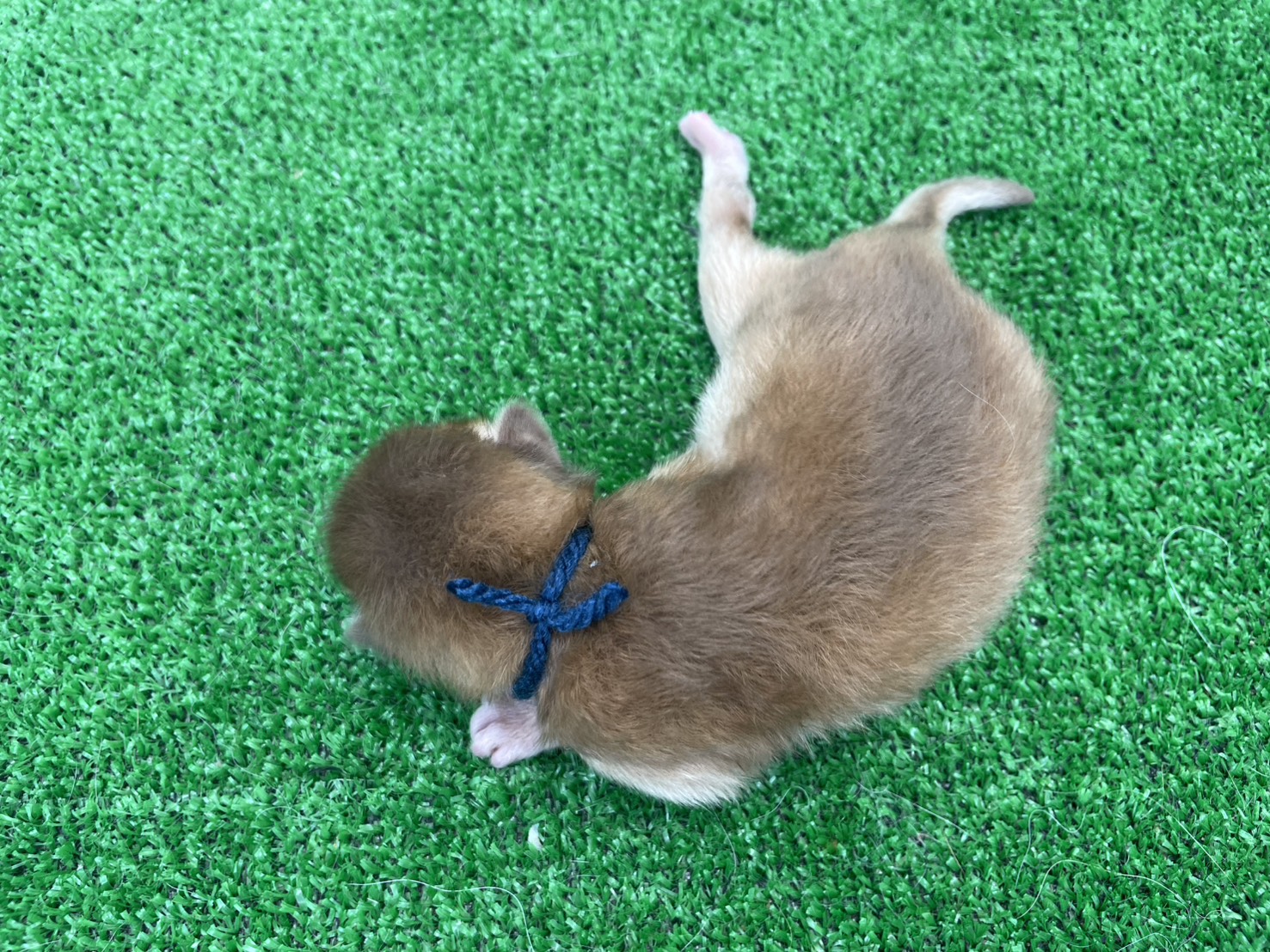赤ちゃん写真1-3