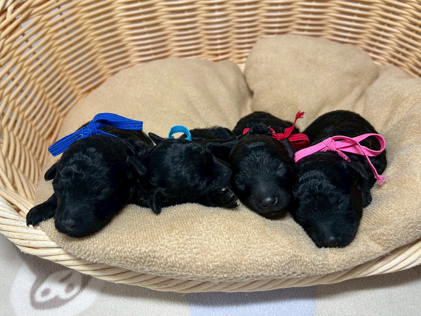 赤ちゃん写真1-3