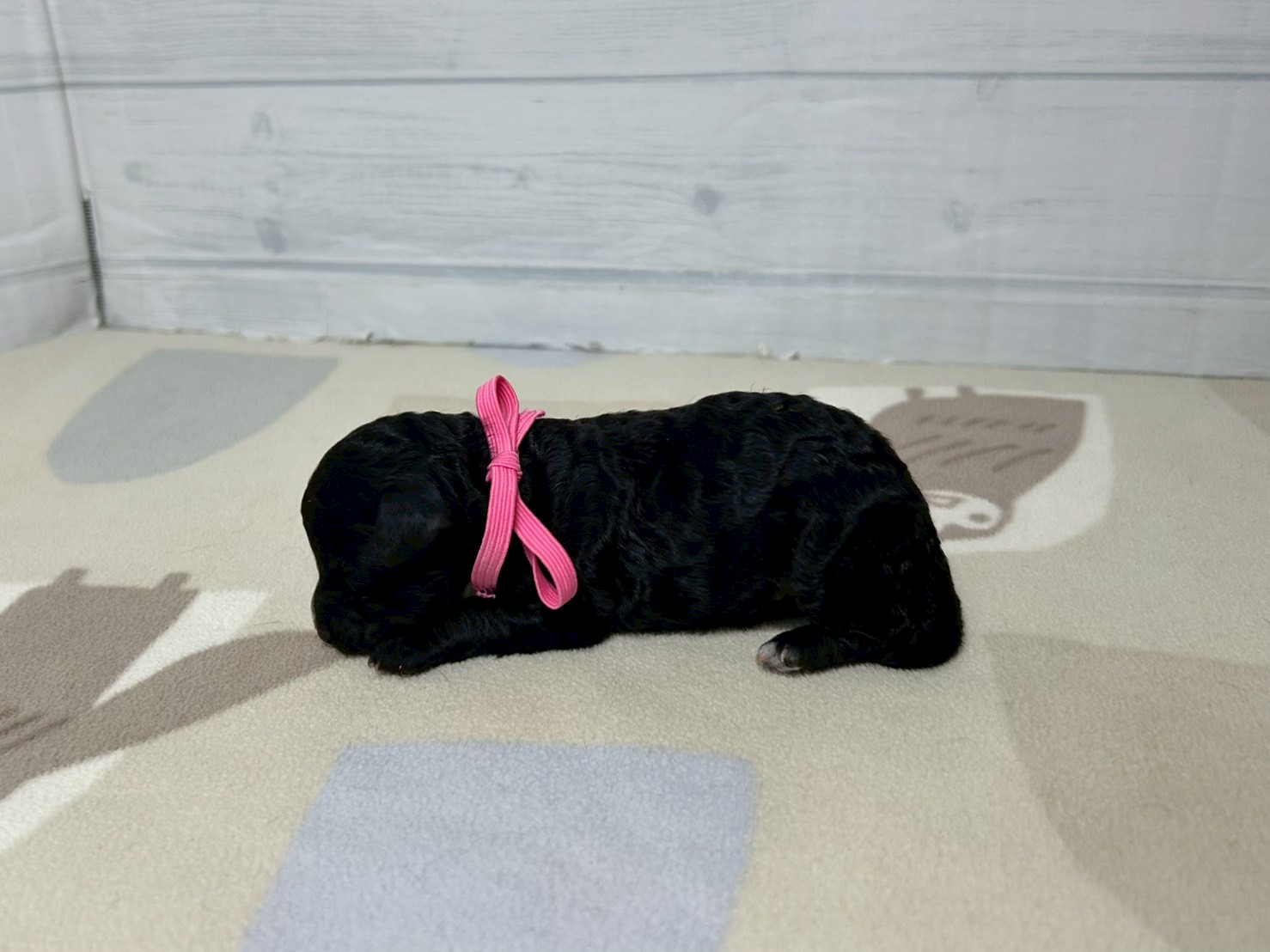 赤ちゃん写真1-2