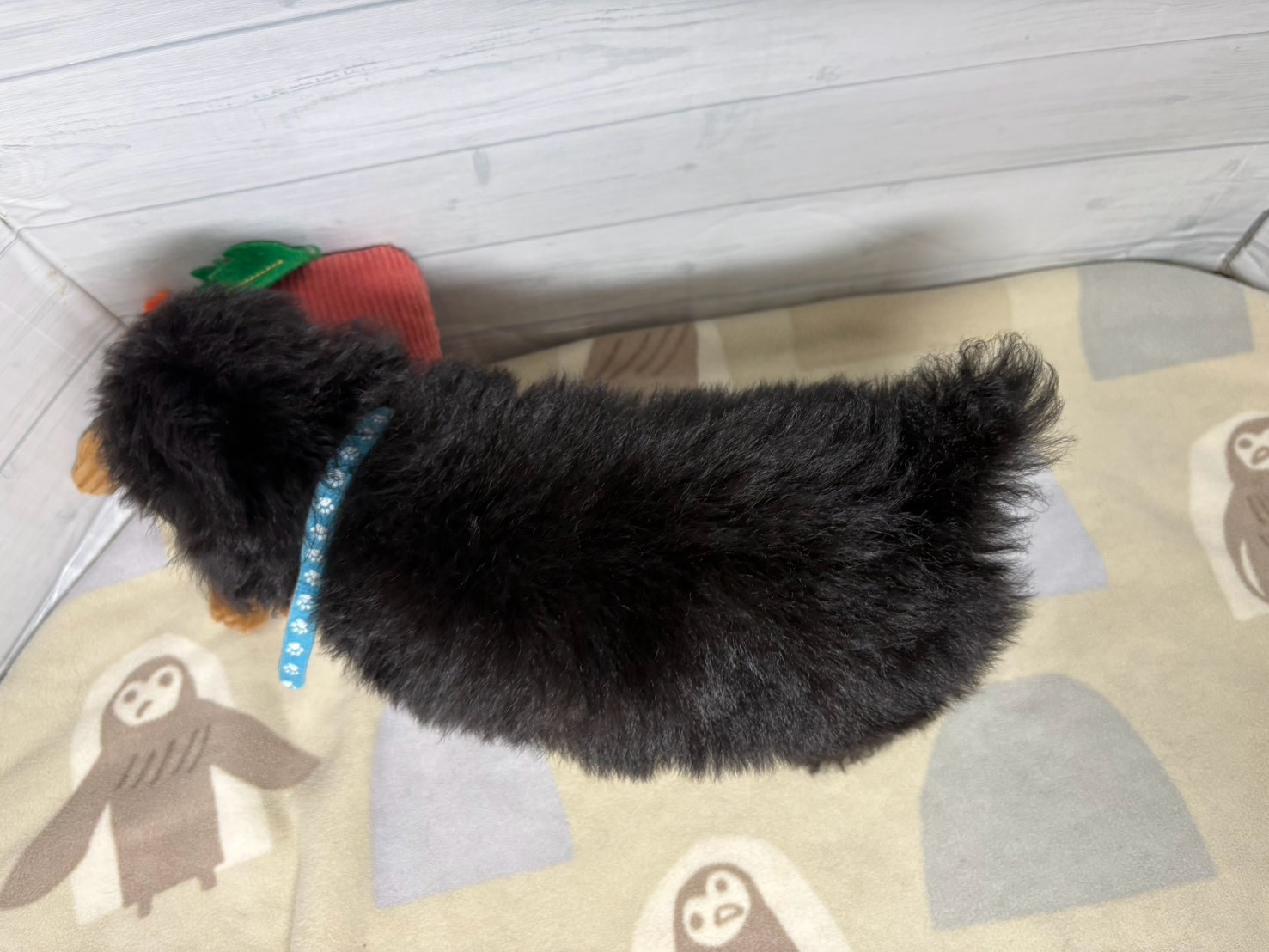 赤ちゃん写真3-3