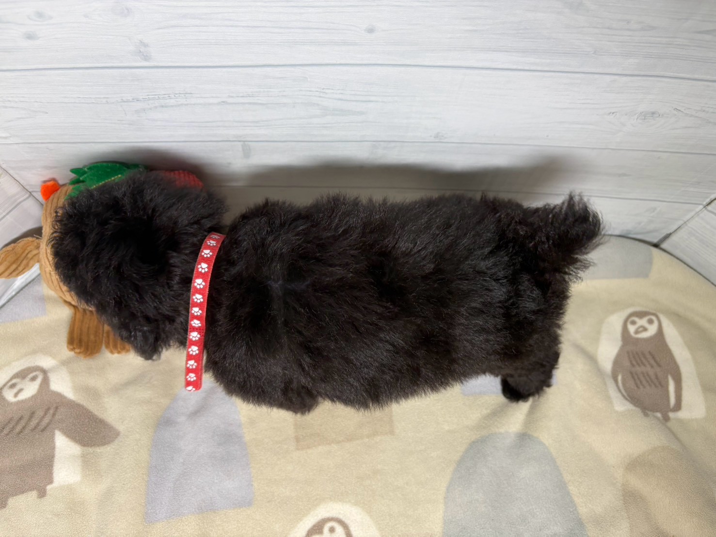 赤ちゃん写真3-3