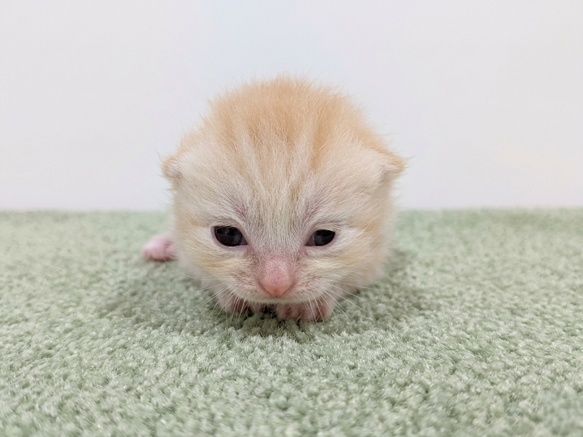 赤ちゃん写真1-1