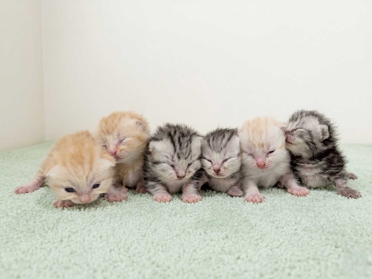 赤ちゃん写真1-3