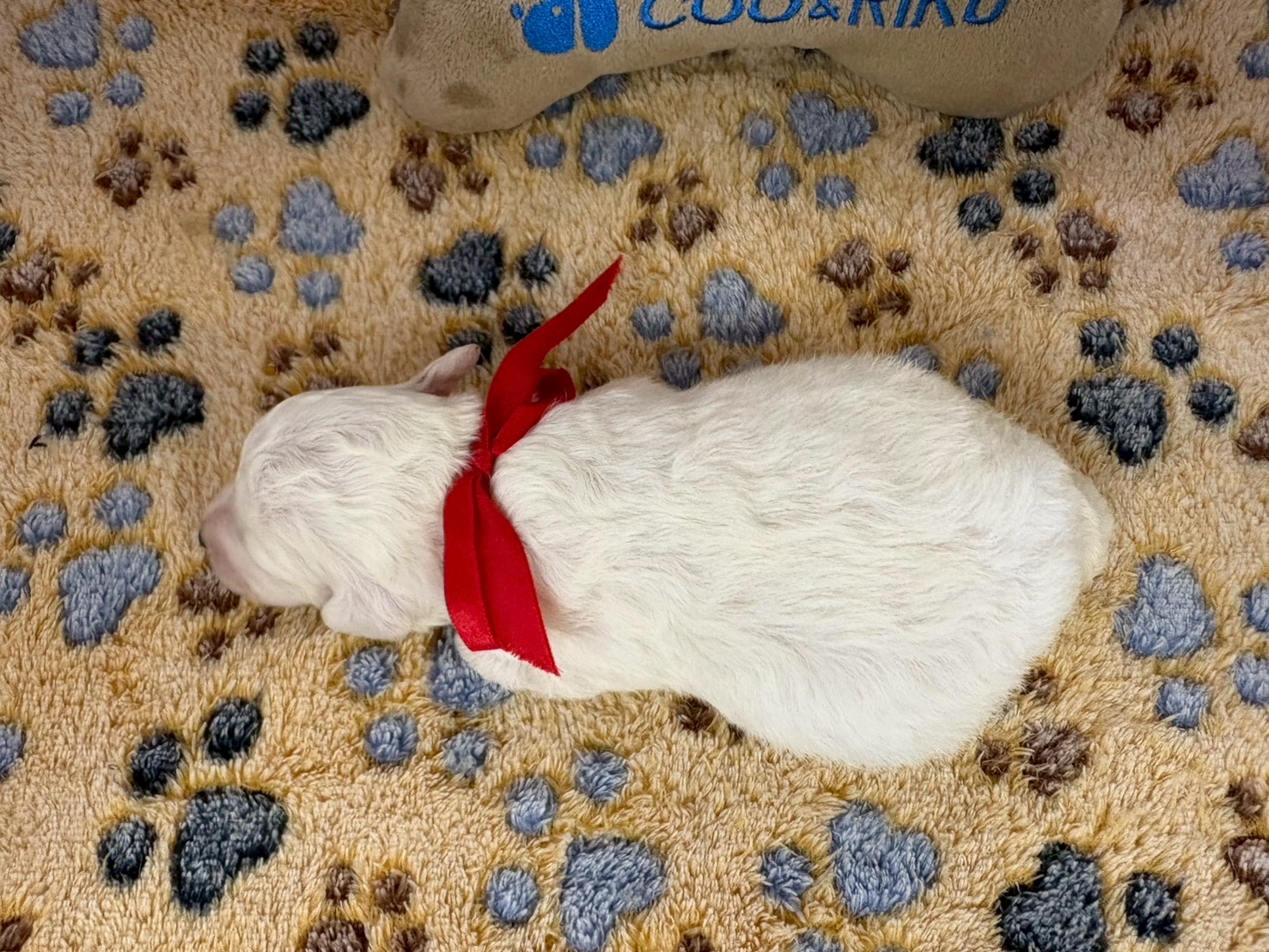赤ちゃん写真1-3
