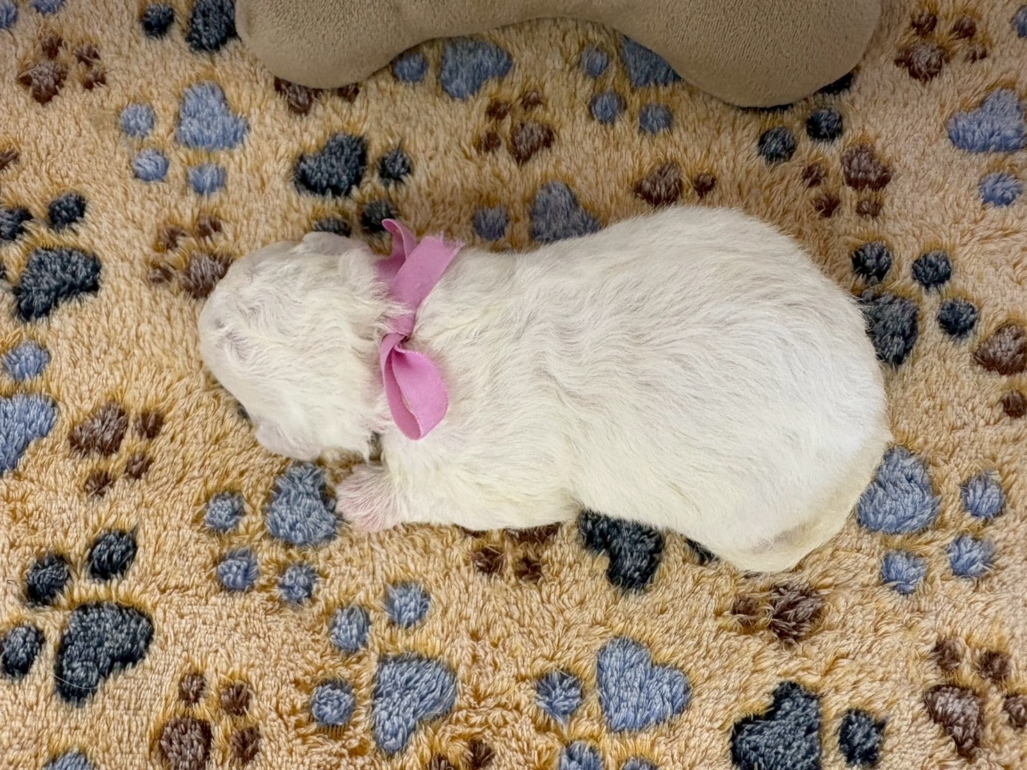 赤ちゃん写真1-3