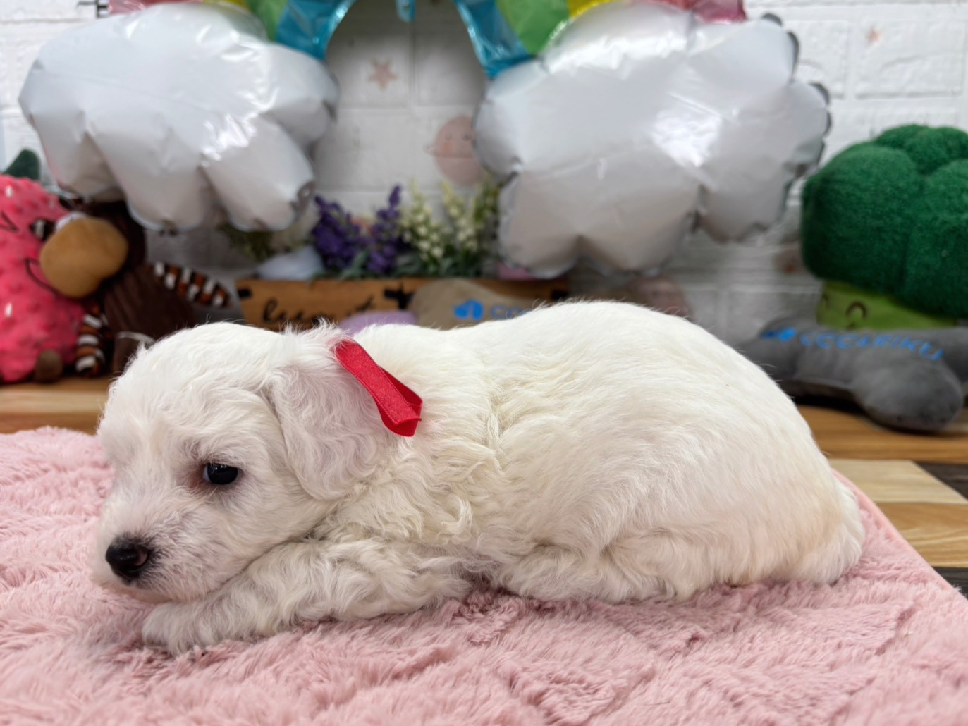 赤ちゃん写真2-2