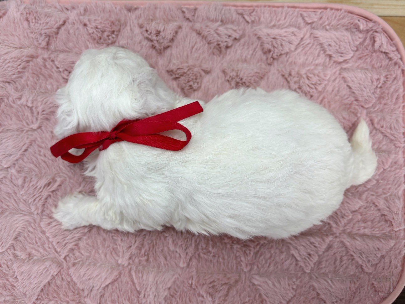 赤ちゃん写真2-3
