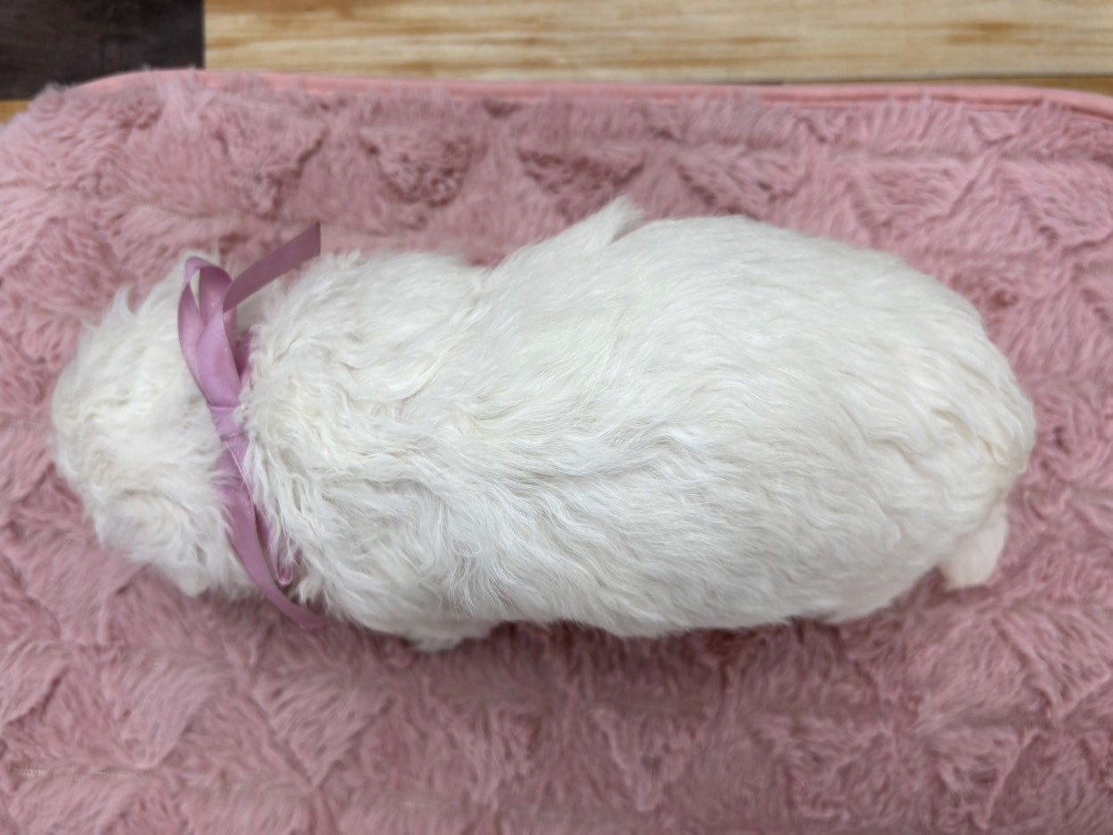 赤ちゃん写真2-3
