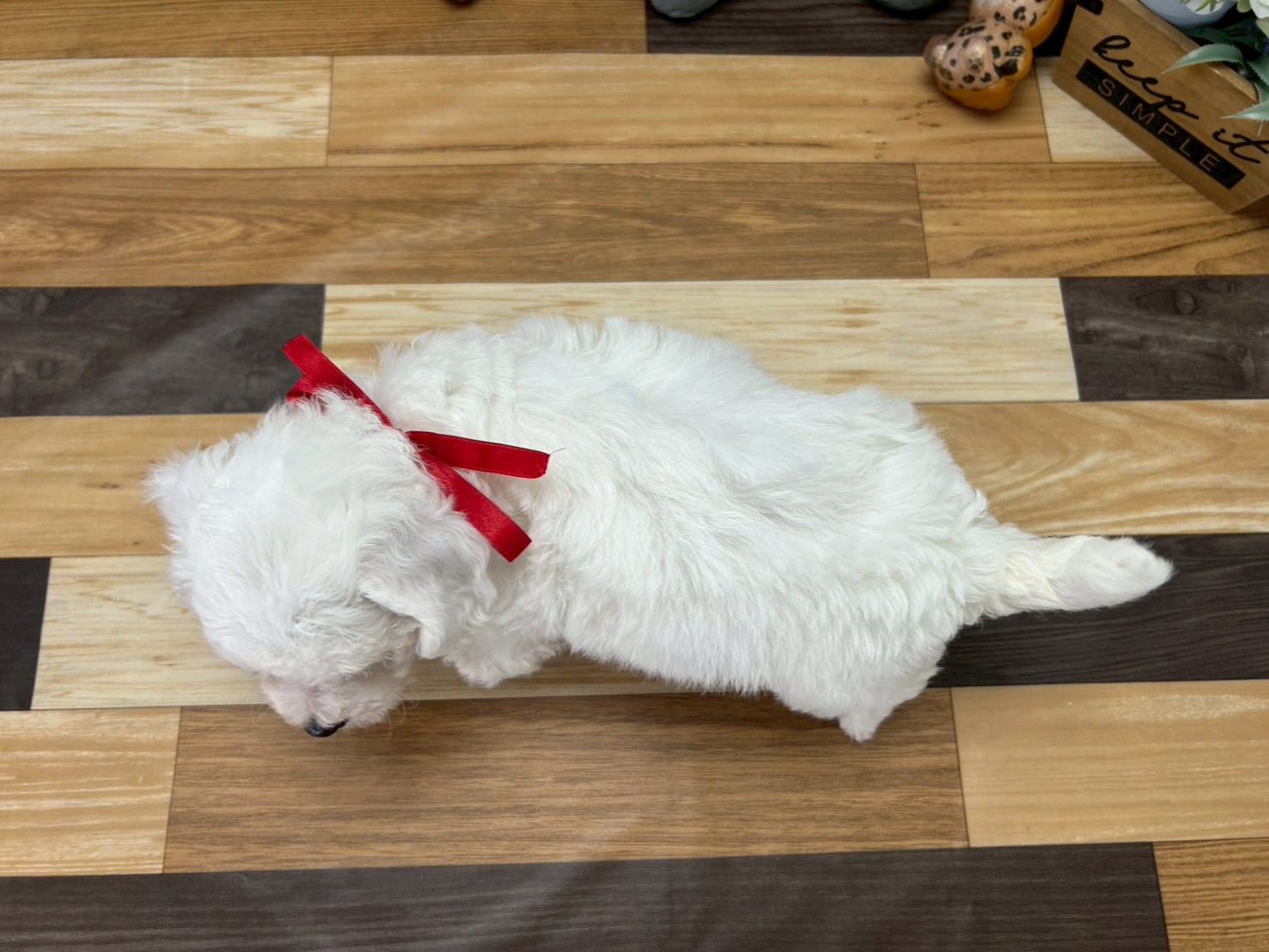 赤ちゃん写真3-3