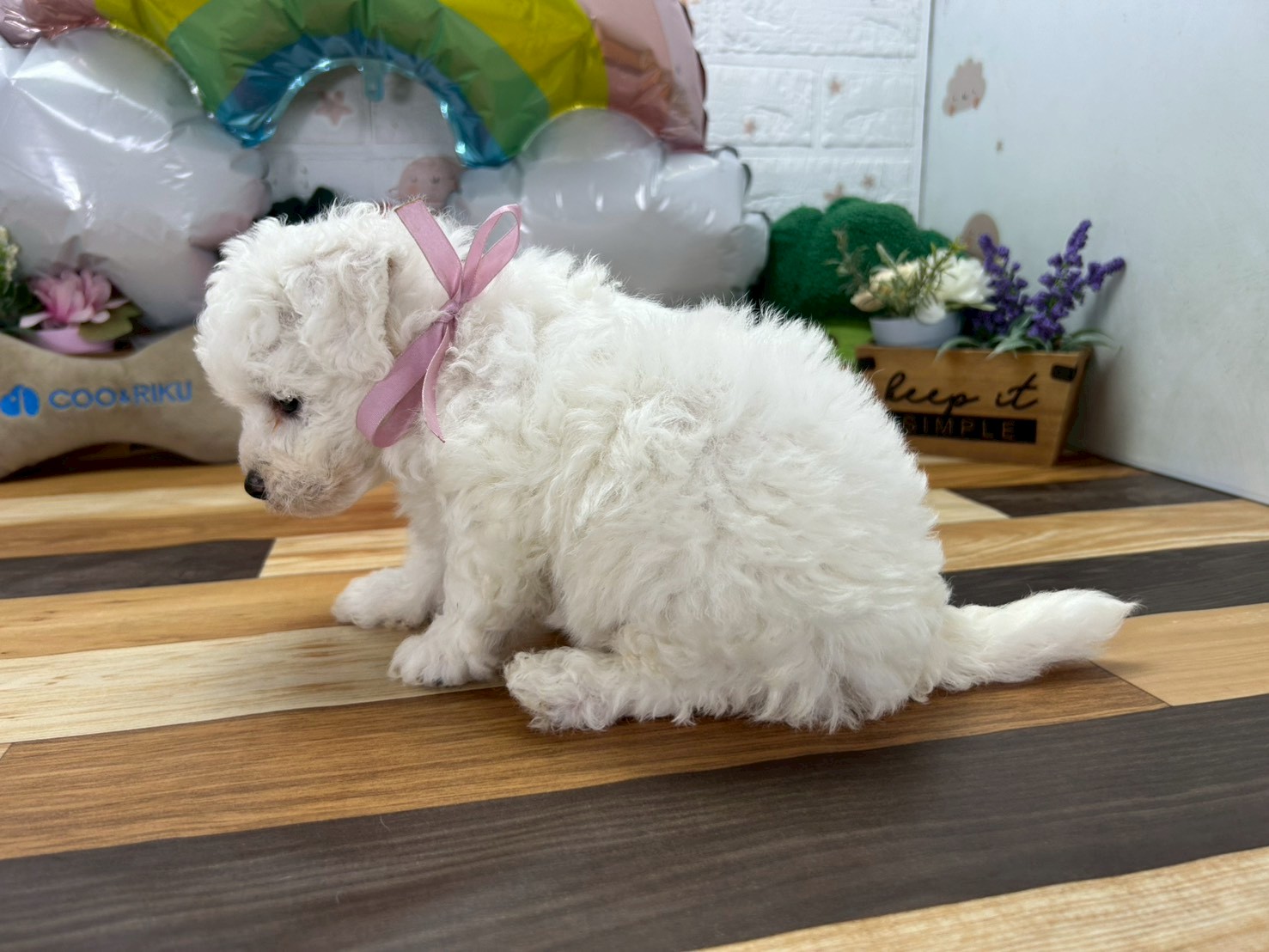 赤ちゃん写真3-2