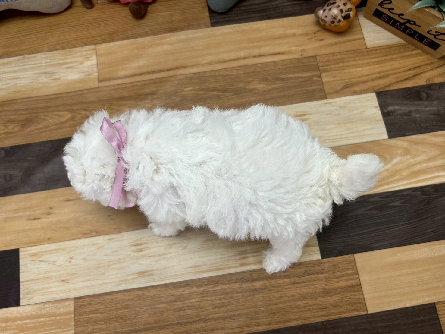 赤ちゃん写真3-3
