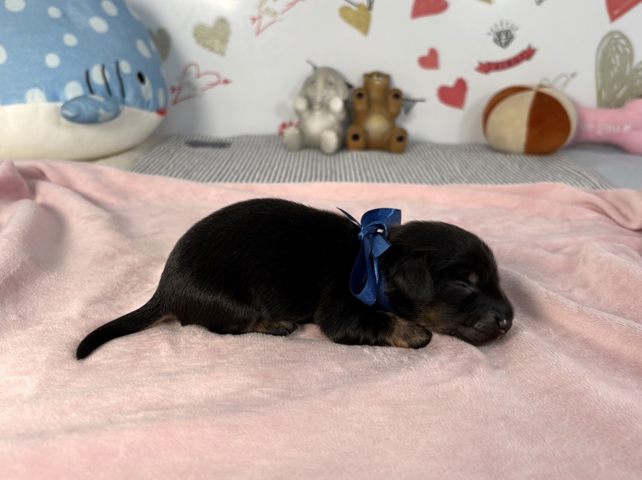 赤ちゃん写真1-2
