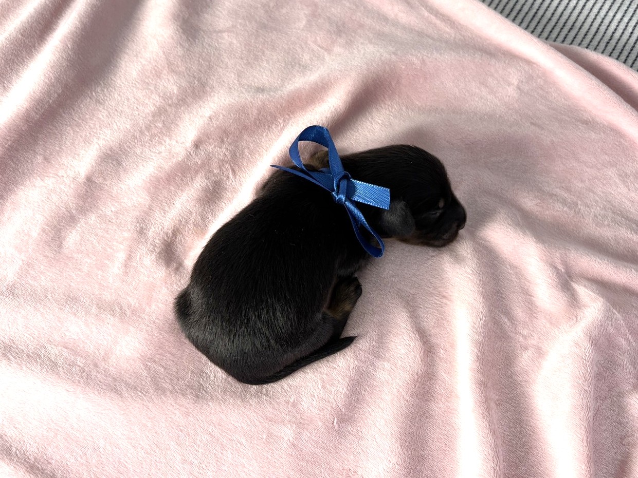赤ちゃん写真1-3