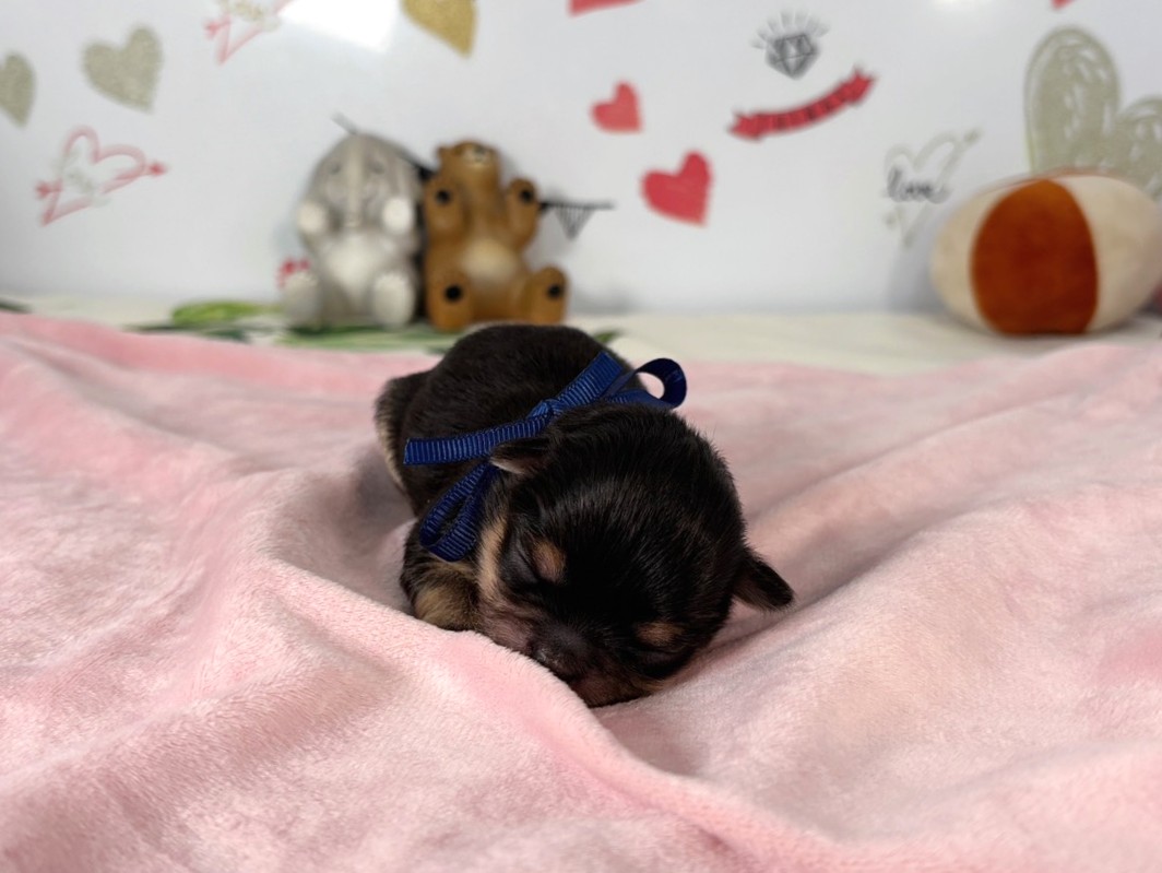 赤ちゃん写真1-1