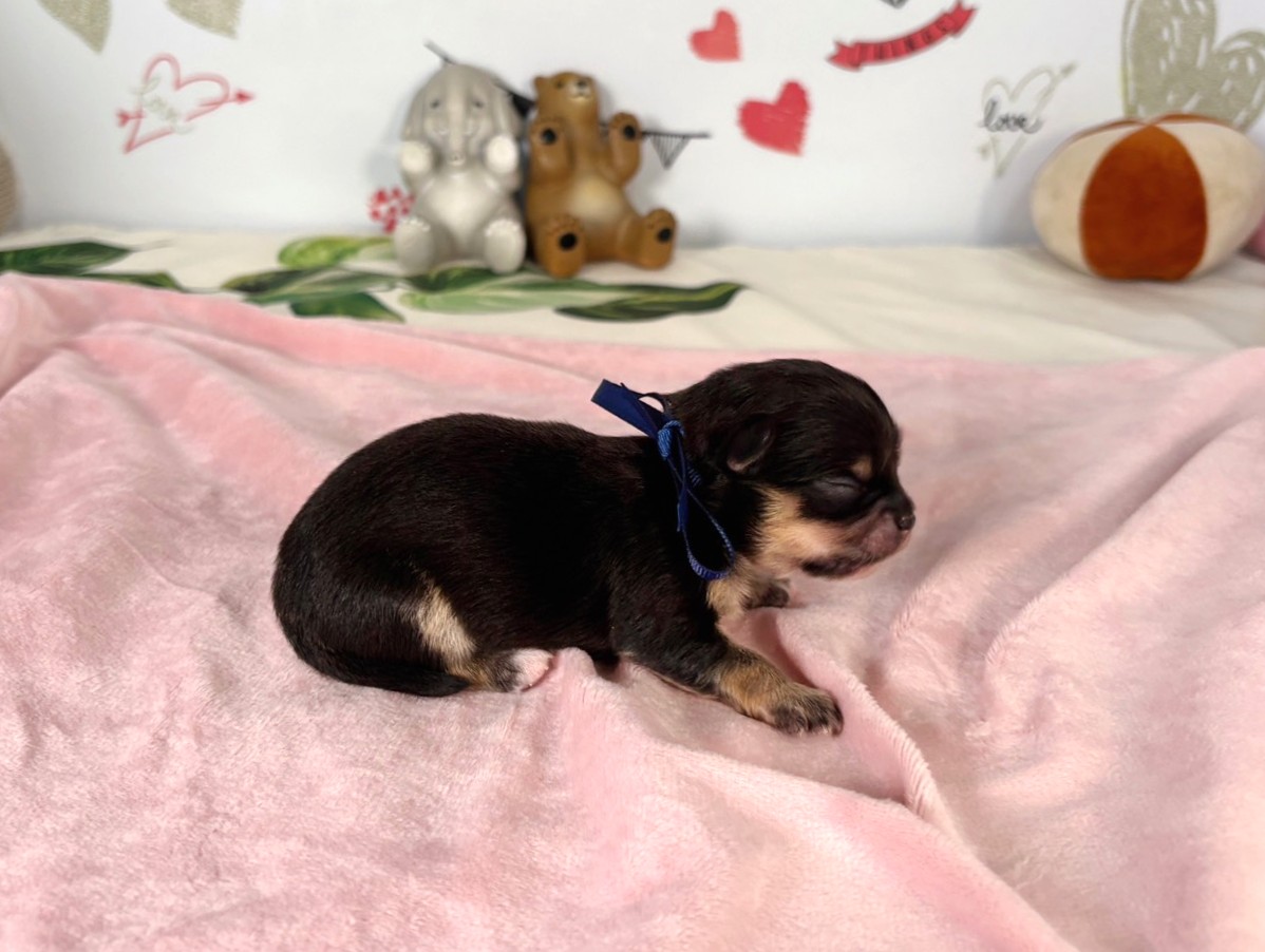 赤ちゃん写真1-2