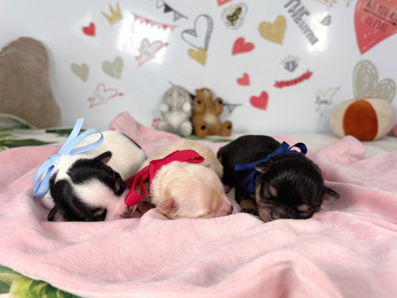 赤ちゃん写真1-3