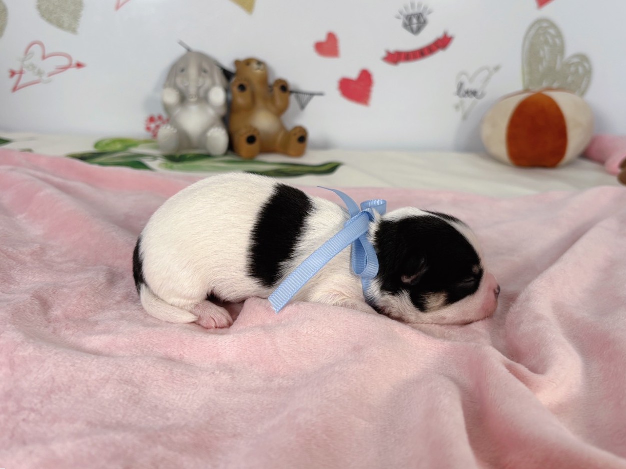 赤ちゃん写真1-2