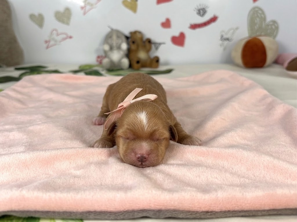 赤ちゃん写真1-1