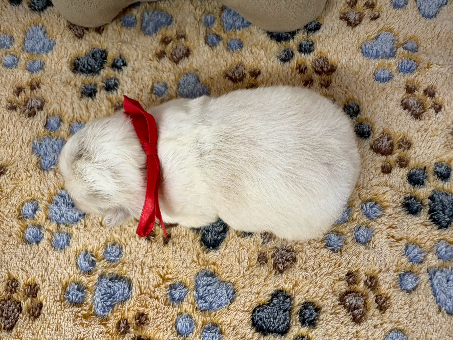 赤ちゃん写真1-3