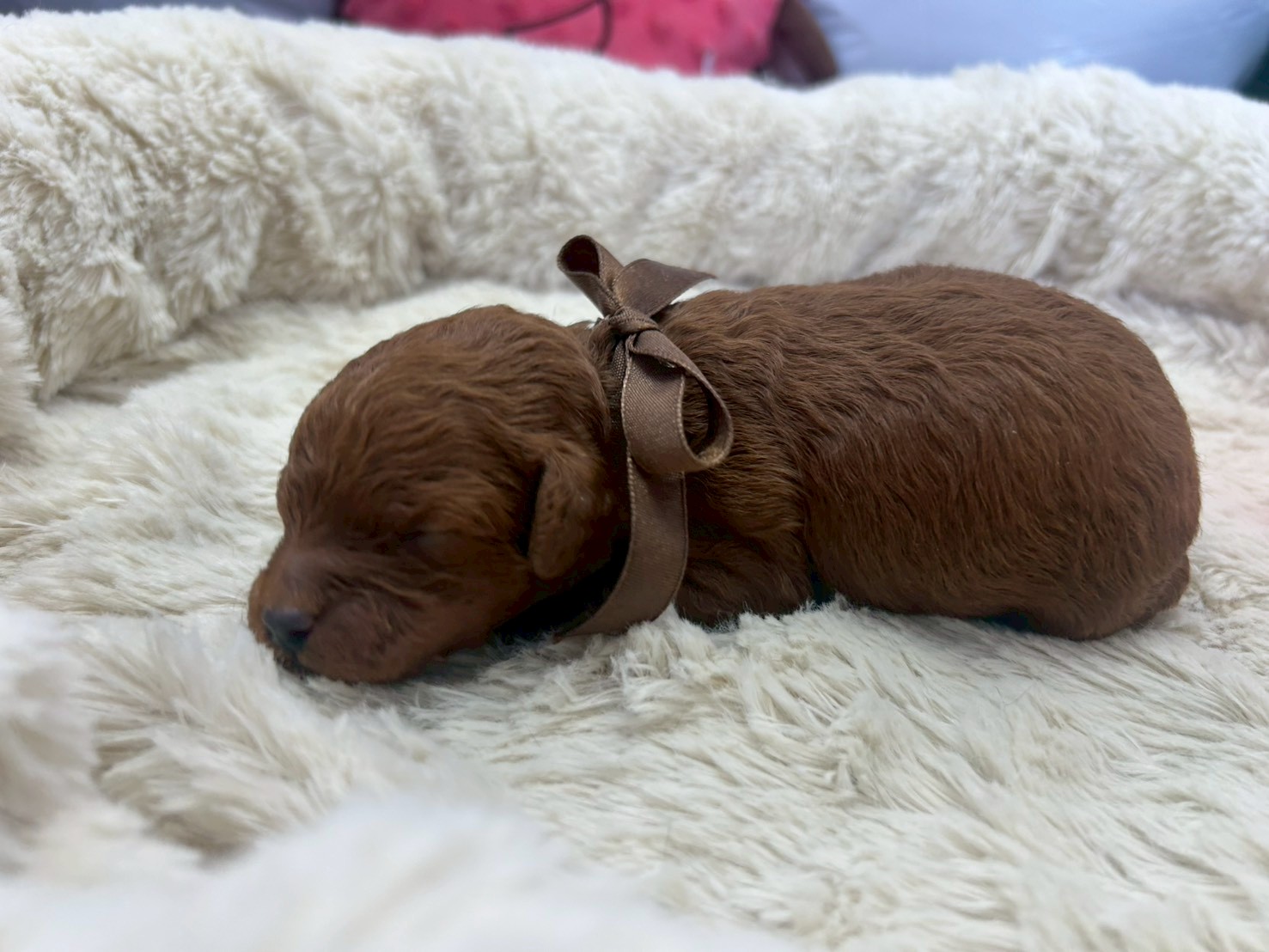 赤ちゃん写真1-2